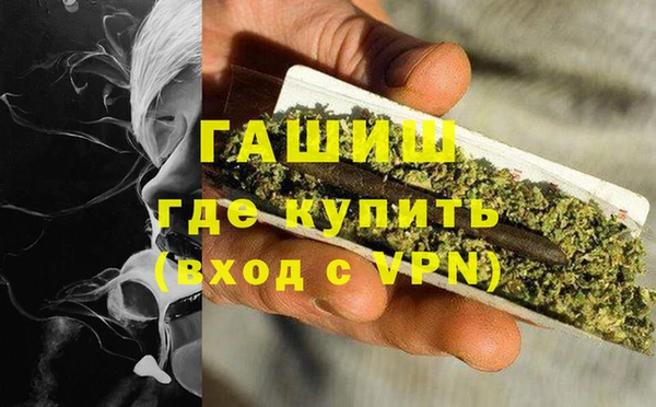 сатива Алзамай