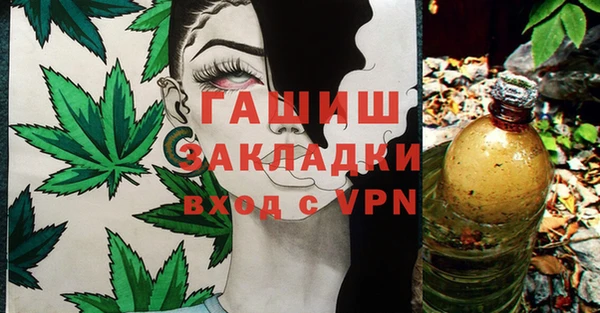 сатива Алзамай