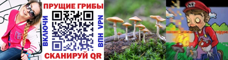 Псилоцибиновые грибы прущие грибы  Отрадная 